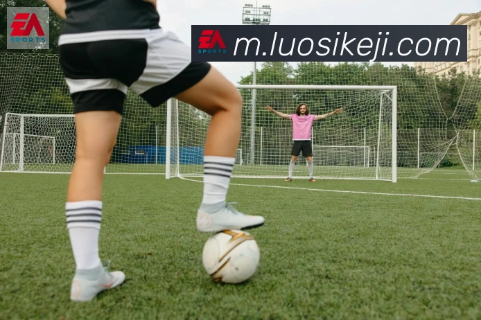 App Interface Preview