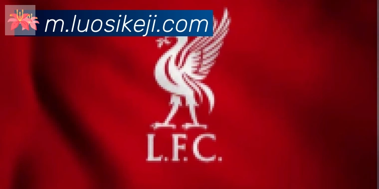 开云app合作伙伴