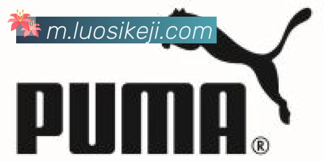 开云app合作伙伴