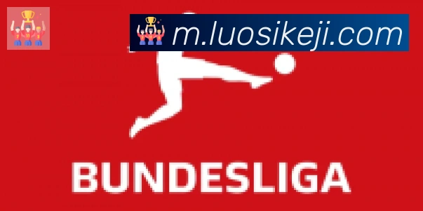 开云app合作伙伴